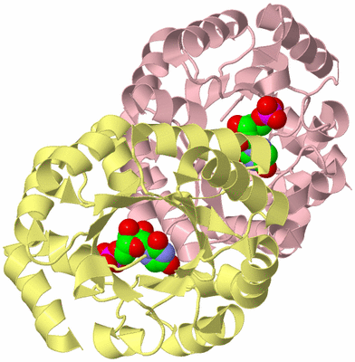 Image Biological Unit 2