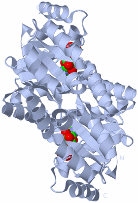 Image Biological Unit 2