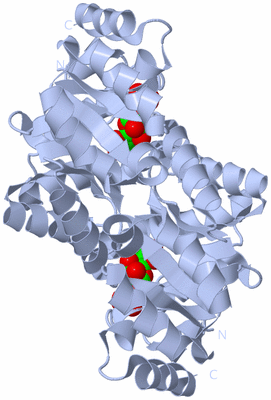 Image Biological Unit 2