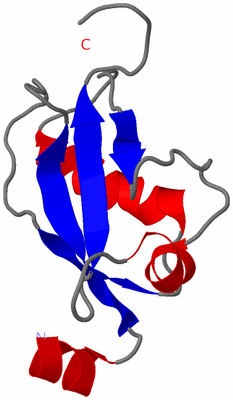 Image NMR Structure - model 1