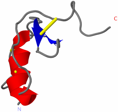 Image NMR Structure - model 1