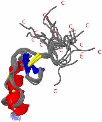 Image NMR Structure - all models