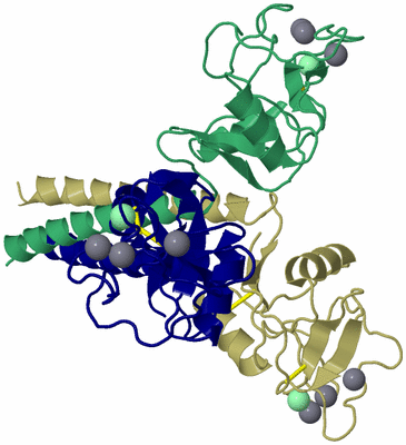 Image Asym./Biol. Unit
