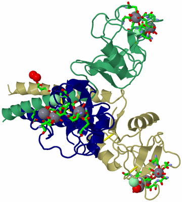 Image Asym./Biol. Unit - sites