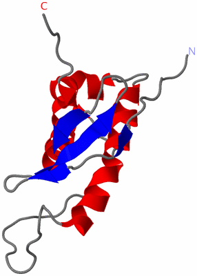 Image NMR Structure - model 1