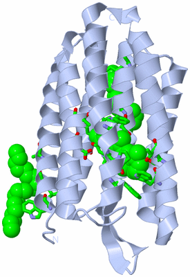 Image Biol. Unit 1 - sites