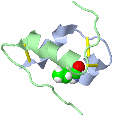 Image NMR Structure - model 1