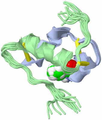 Image NMR Structure - all models