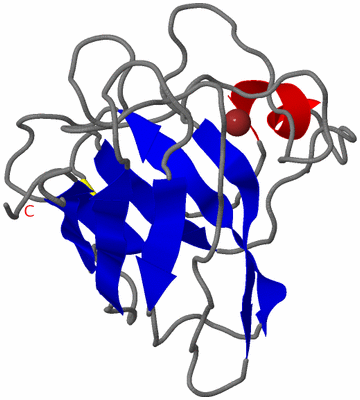 Image NMR Structure - model 1