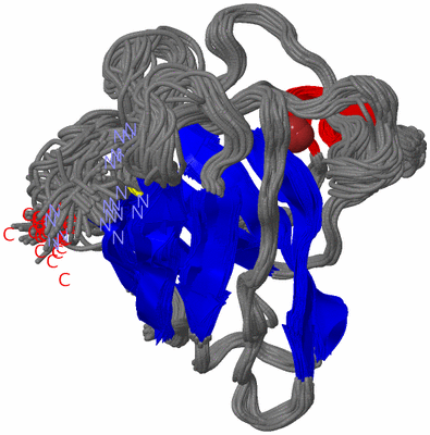 Image NMR Structure - all models