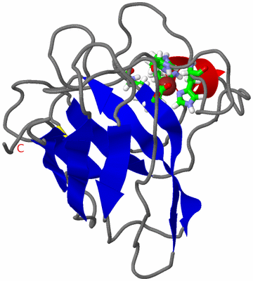 Image NMR Structure - model 1, sites