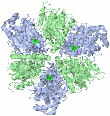 Image Biological Unit 2