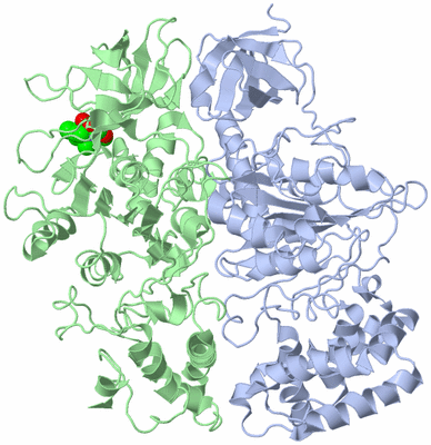 Image Biological Unit 3