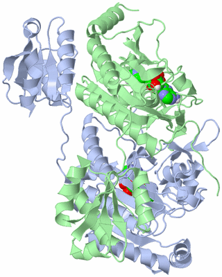 Image Biological Unit 1