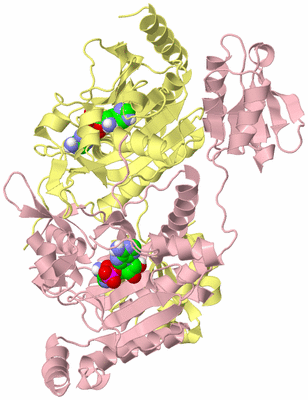 Image Biological Unit 2