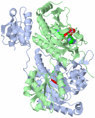 Image Biological Unit 1