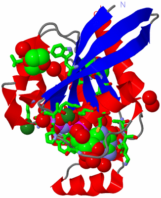 Image Asym./Biol. Unit - sites