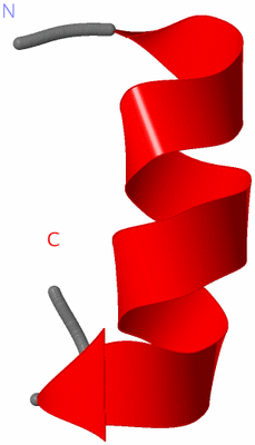 Image NMR Structure - model 1