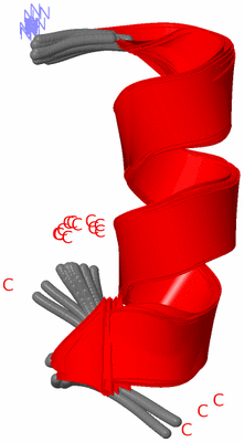 Image NMR Structure - all models