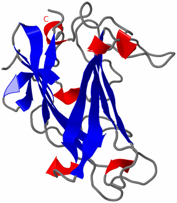 Image Asymmetric Unit