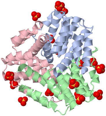 Image Biological Unit 1