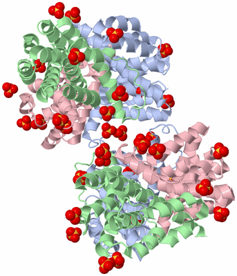 Image Biological Unit 2