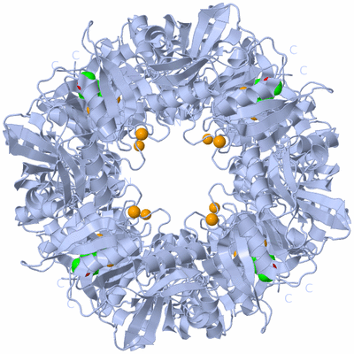 Image Biological Unit 1