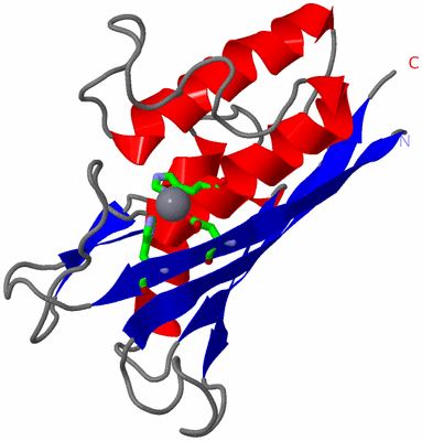 Image Asym. Unit - sites