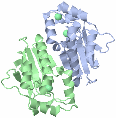 Image Asym./Biol. Unit