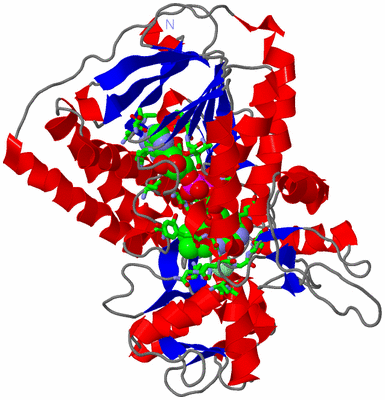 Image Asym./Biol. Unit - sites