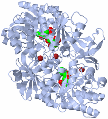 Image Biological Unit 1