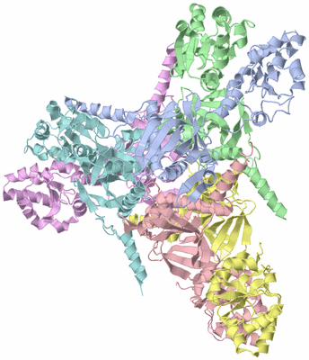 Image Asym./Biol. Unit