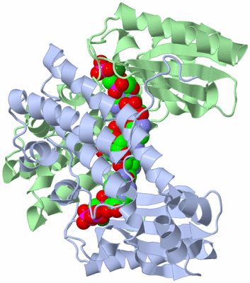 Image Asym./Biol. Unit