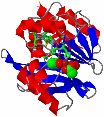 Image Asym./Biol. Unit - sites