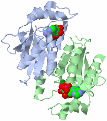 Image Asym./Biol. Unit