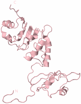 Image Biological Unit 3