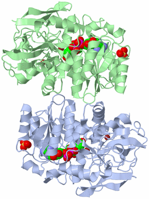 Image Asymmetric Unit