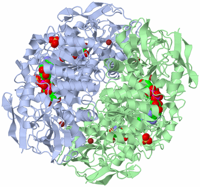 Image Biological Unit 1