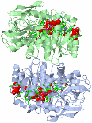 Image Asym. Unit - sites