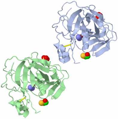 Image Asym./Biol. Unit