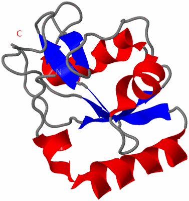 Image NMR Structure - model 1