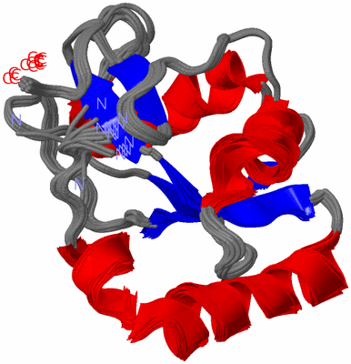 Image NMR Structure - all models