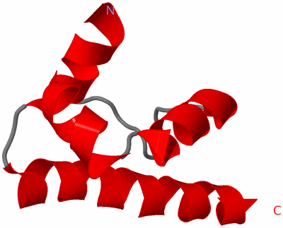 Image NMR Structure - all models