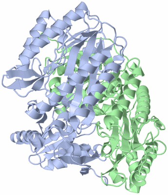 Image Asym./Biol. Unit