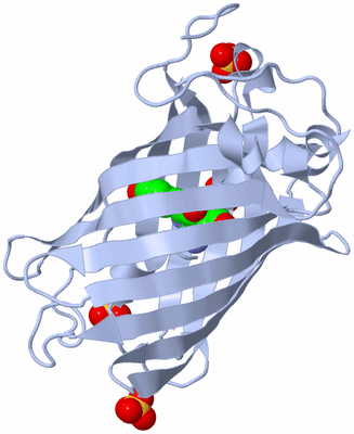 Image Biological Unit 1