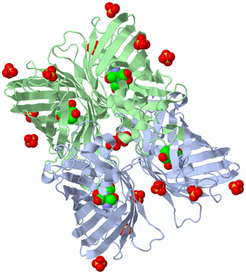 Image Biological Unit 3