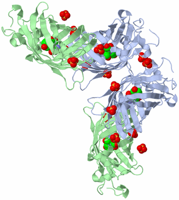 Image Biological Unit 4