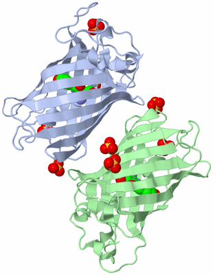 Image Biological Unit 5