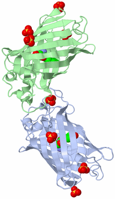 Image Biological Unit 6