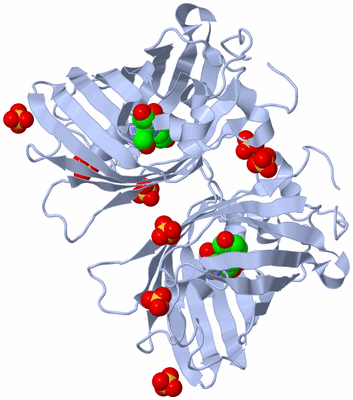 Image Biological Unit 7